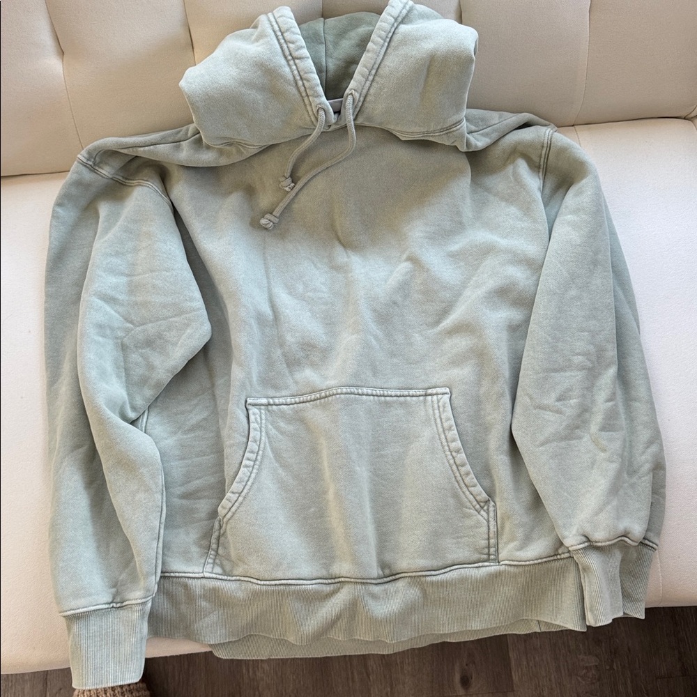 Aritzia TNA Cozy Sage Hoodie